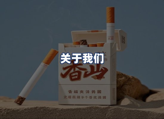 关于我们